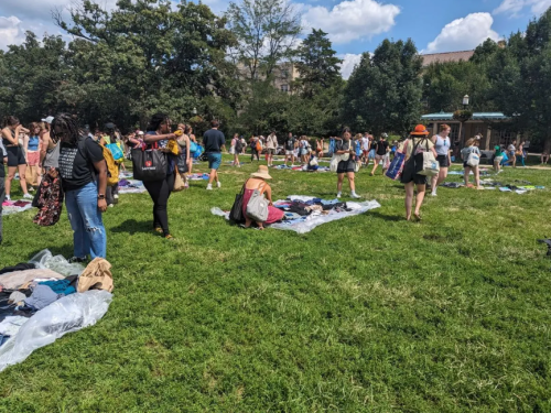 A large group of people browsing clothes laid out on the grass at an outdoor event on a sunny day.